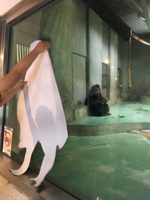 等身大ツトムと対面するツトム