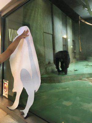等身大ツトムと対面するツトム