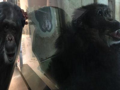 等身大ツトムと対面するツトム