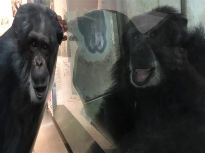 等身大ツトムと対面するツトム