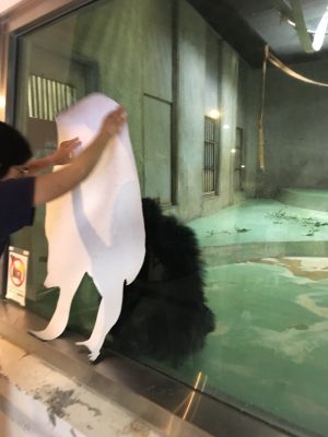等身大ツトムと対面するツトム
