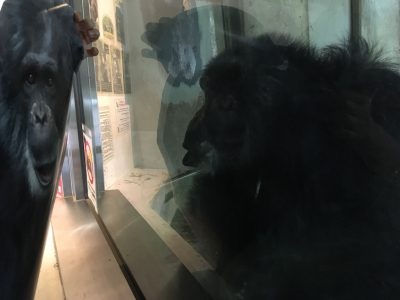 等身大ツトムと対面するツトム