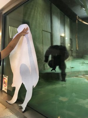 等身大ツトムと対面するツトム