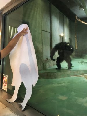 等身大ツトムと対面するツトム