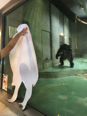 等身大ツトムと対面するツトム