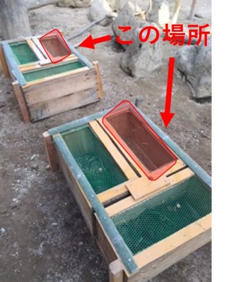 育成箱