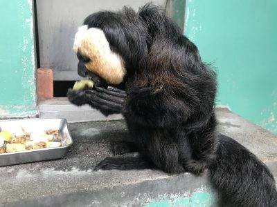 左手は添える