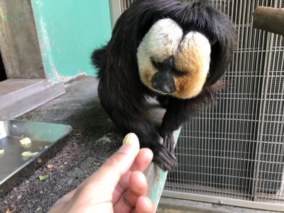 2度目の正直