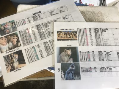 秘伝の書