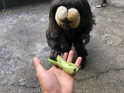 取った！