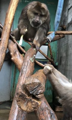 いろいろ