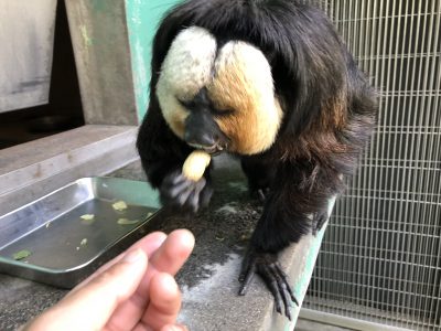 取った！