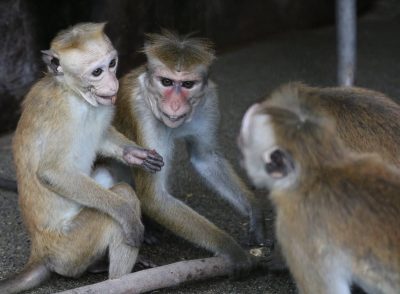 集まる