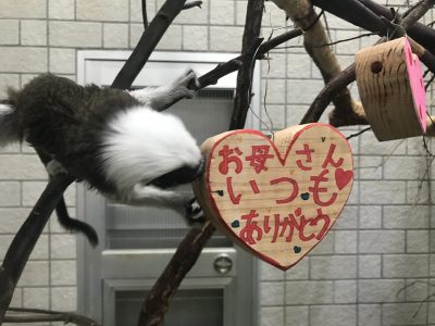 お母さんいつもありがとう