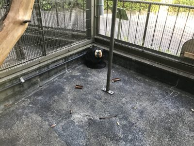 すみっこぐらしのモップくん