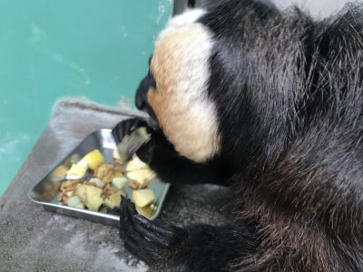 左手は添えるだけ背後から