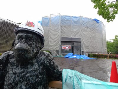 塗魂ペインターズ作業風景