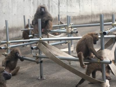 やめててーよ改