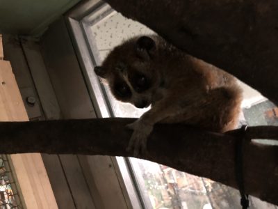 アオキくん
