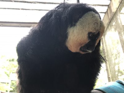 12時頃のモップくん