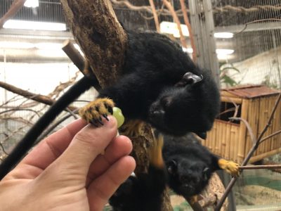 ご寄附いただいたものをあげていきます
