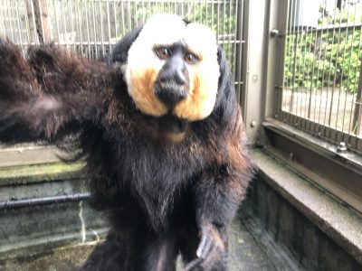 10時頃のモップくんその2