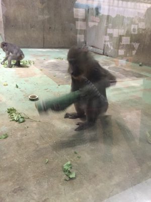 サユミ