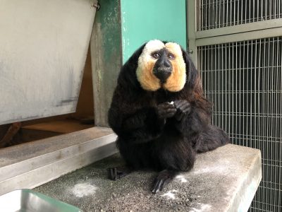 9時頃のモップくん