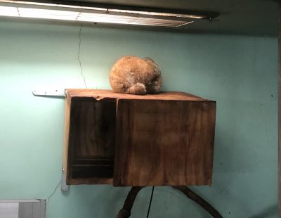 これならわかりますか？