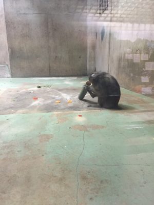 サユミ２