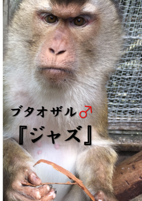 ジャズ