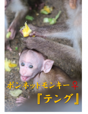 テング