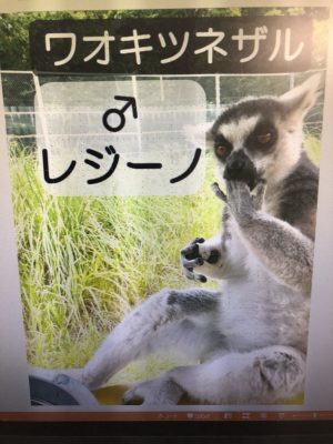 レジーノ
