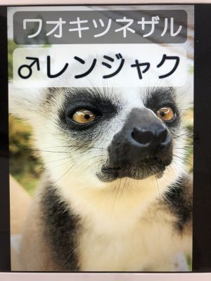 レンジャク