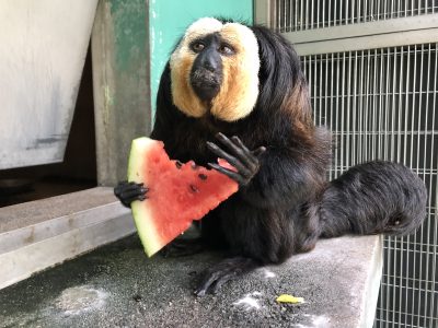 何を考えているんだろう？