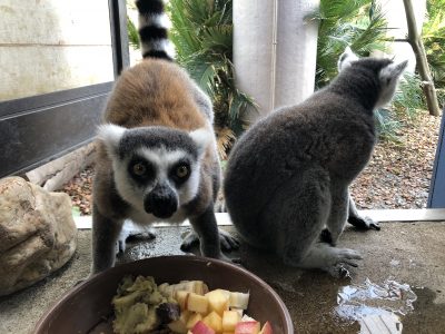 ミツオ