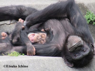 マルコとマモル