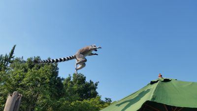 ジャンプ