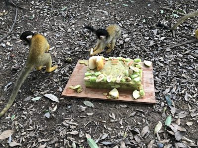 一瞬で色々無くなりました