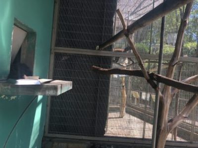 モップくんはどーこだ？