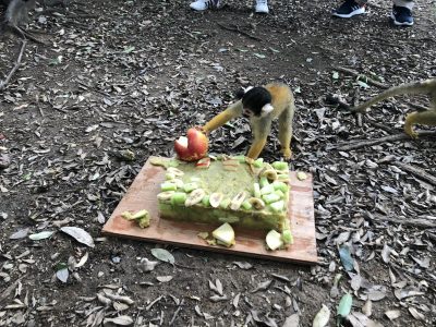 なんだこれ？