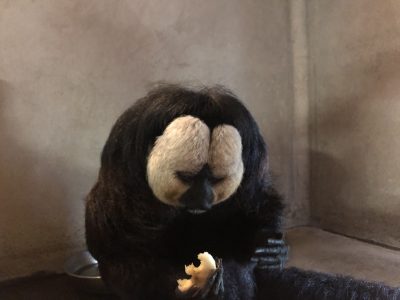 モップくんが一番最初に食べたもの