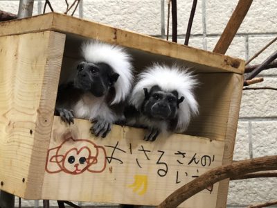 夫婦で一緒に