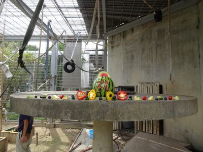 マンドリルのケーキ