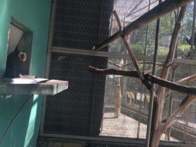 モップくんは台の上にいました