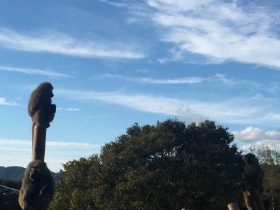 青空