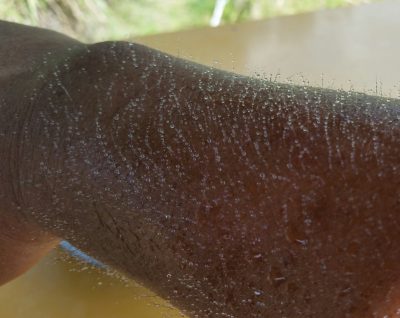 手に水弾く