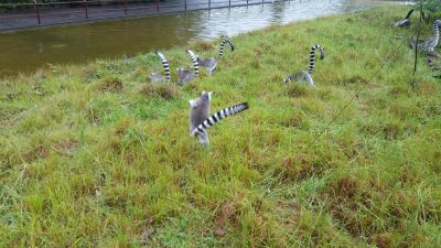 秋のなかウキウキ