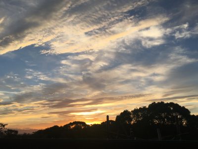 夕焼け