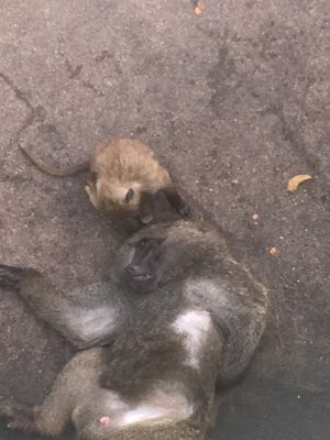こどもとオトナ
